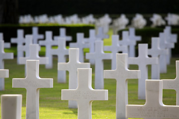 Image showing NETTUNO - April 06: Tombs, American war cemetery of the American