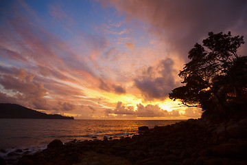 Image showing Beautiful tranquil sun rise on the coastline