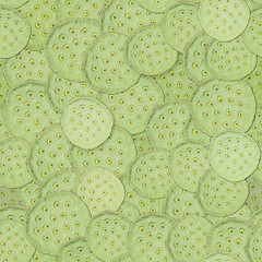 Image showing Lotus fruits beautiful pattern 