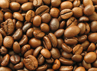 Image showing Coffee Beans