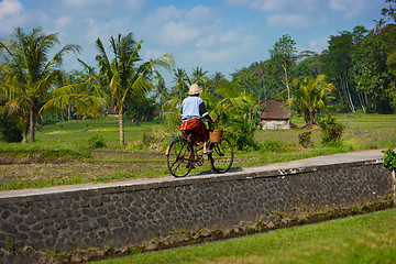 Image showing Old Balinese woman cycling past rice fields on her bike