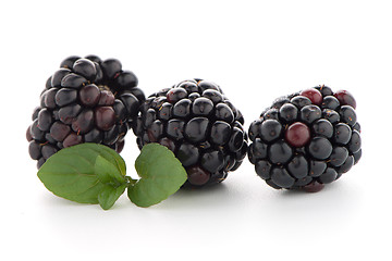 Image showing Blackberries with leaves