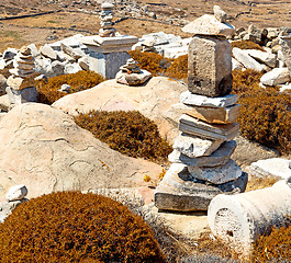 Image showing bush   in delos greece the historycal acropolis and old ruin sit