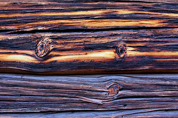 Image showing Very old weather beaten wall with colourful sprigs.