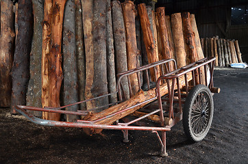 Image showing Mangrove tree at charcoal factory