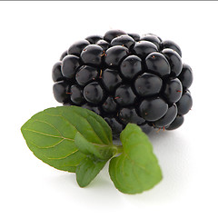 Image showing Blackberries with leaves