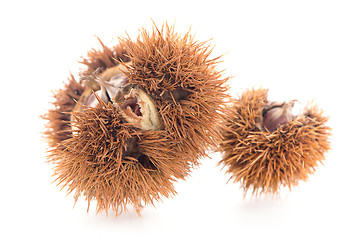 Image showing Chestnuts with shell 