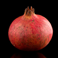 Image showing Ripe pomegranate fruit