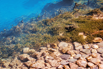 Image showing A fragment of the rocky bottom of a mountain lake.