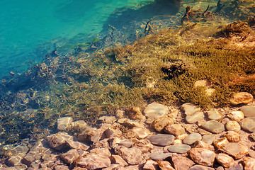 Image showing A fragment of the rocky bottom of a mountain lake.