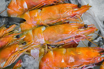 Image showing Large Mediterranean prawns .