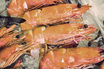 Image showing Large Mediterranean prawns .