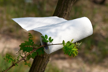 Image showing Paper towel roll waving in the wind in forest at sun day