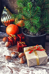 Image showing Christmas tree in pot 