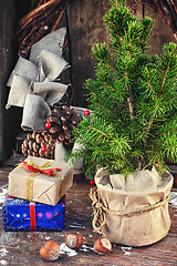 Image showing Christmas tree in pot 
