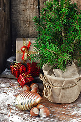 Image showing Christmas tree in pot 