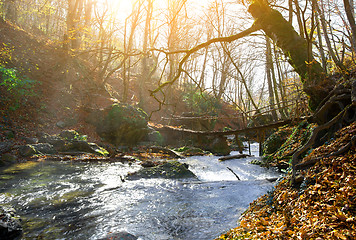 Image showing Mountain river and bridge