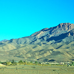 Image showing bush  in    valley  morocco     africa the atlas dry mountain  