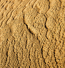 Image showing the brown sand dune in the sahara morocco desert 