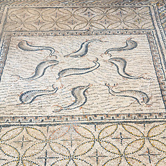 Image showing roof mosaic in the old city dolphin  travel