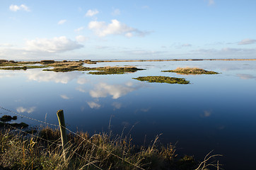 Image showing Calm wetland