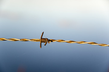 Image showing Barb wire detail