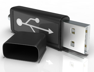 Image showing Usb Removable Flash Shows Portable Storage Or Memory