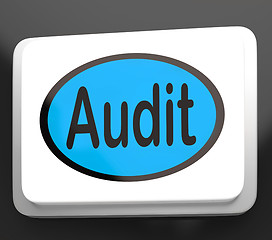 Image showing Audit Button Shows Auditor Validation Or Inspection