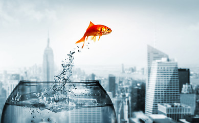 Image showing goldfish jumping out of the water