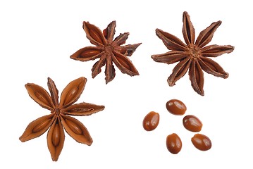 Image showing Star Anise