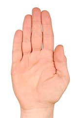 Image showing Hand