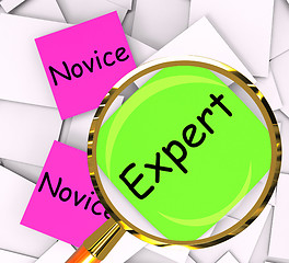 Image showing Novice Expert Post-It Papers Mean Amateur Or Skilled