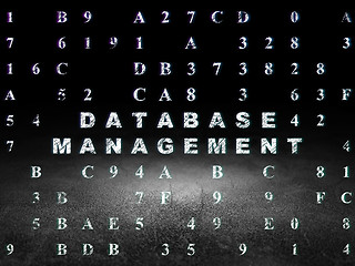Image showing Software concept: Database Management in grunge dark room