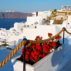 Image showing in vacation    europe cyclades santorini old town white and the 