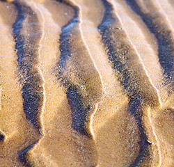 Image showing dune morocco in africa brown coastline wet sand beach near atlan