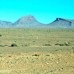 Image showing bush  in    valley  morocco     africa the atlas dry mountain  