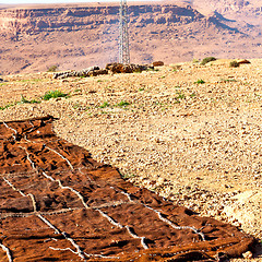 Image showing carpet  in   valley  morocco  africa the atlas dry mountain util