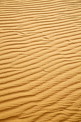 Image showing   brown sand dune in the sahara morocco desert 