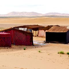 Image showing tent in  the desert of morocco sahara and rock  stone    sky