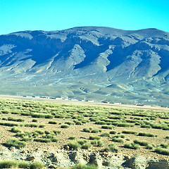 Image showing brown bush  in    valley  morocco         africa the atlas dry m