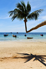 Image showing sun ligt asia   the  kho tao bay    rocks  boat   thailand  