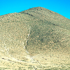 Image showing brown bush  in    valley  morocco         africa the atlas dry m