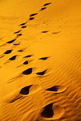 Image showing the brown sand dune in footstep  morocco desert 