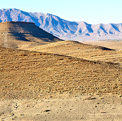 Image showing bush  in    valley  morocco     africa the atlas dry mountain  