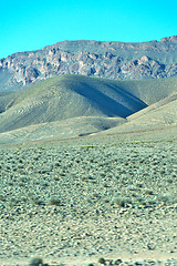 Image showing brown bush  in          africa the atlas dry mountain  