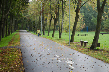 Image showing Alley with fallen leaves in park