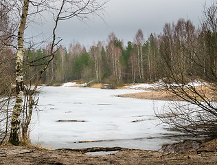 Image showing Spring March landscape at wood lake