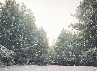 Image showing Winter landscape