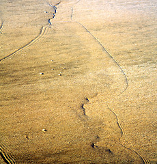 Image showing morocco in africa brown coastline wet sand  