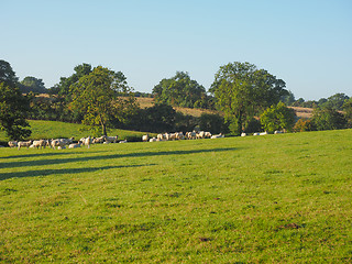 Image showing View of Tanworth in Arden